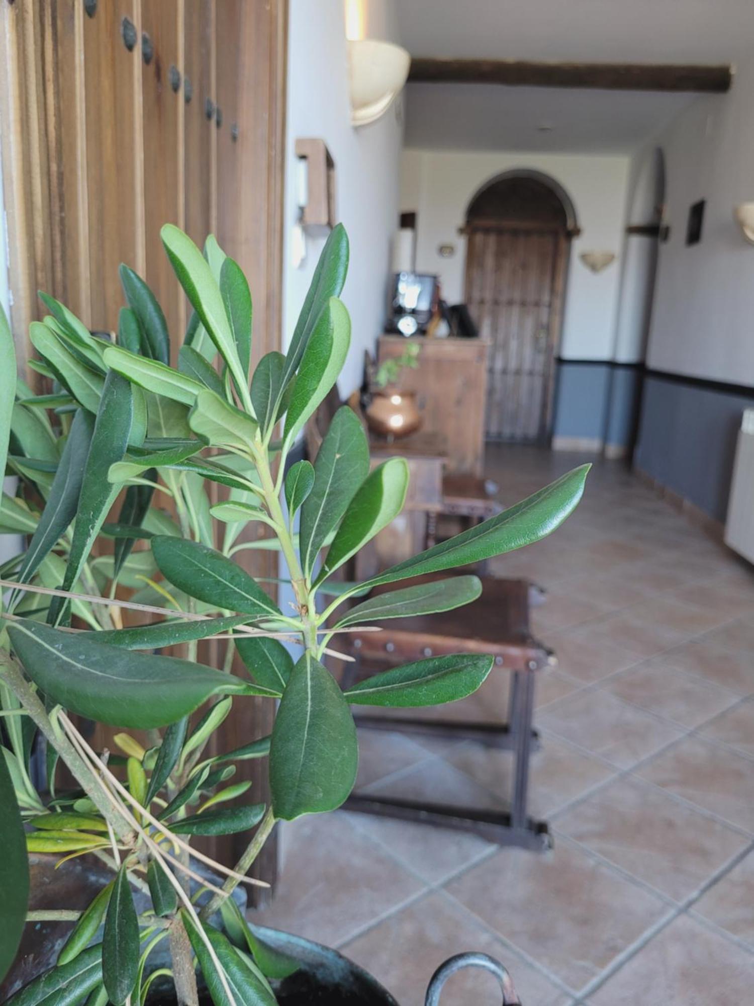 Hotel El Balcon De Las Nieves Ла-Субия Экстерьер фото