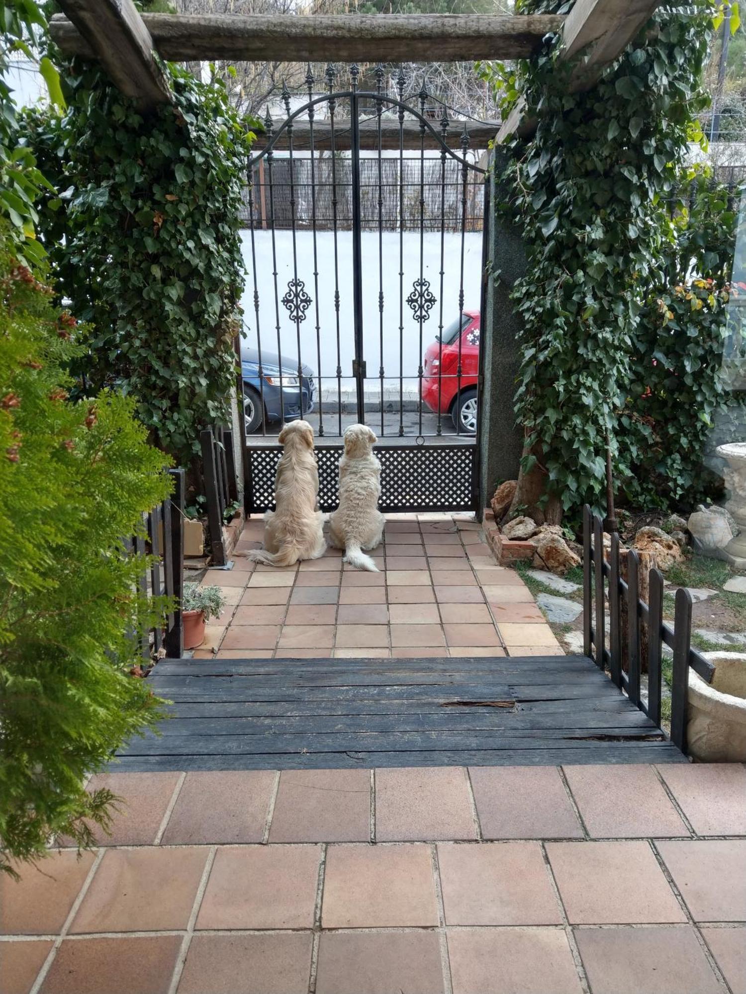 Hotel El Balcon De Las Nieves Ла-Субия Экстерьер фото