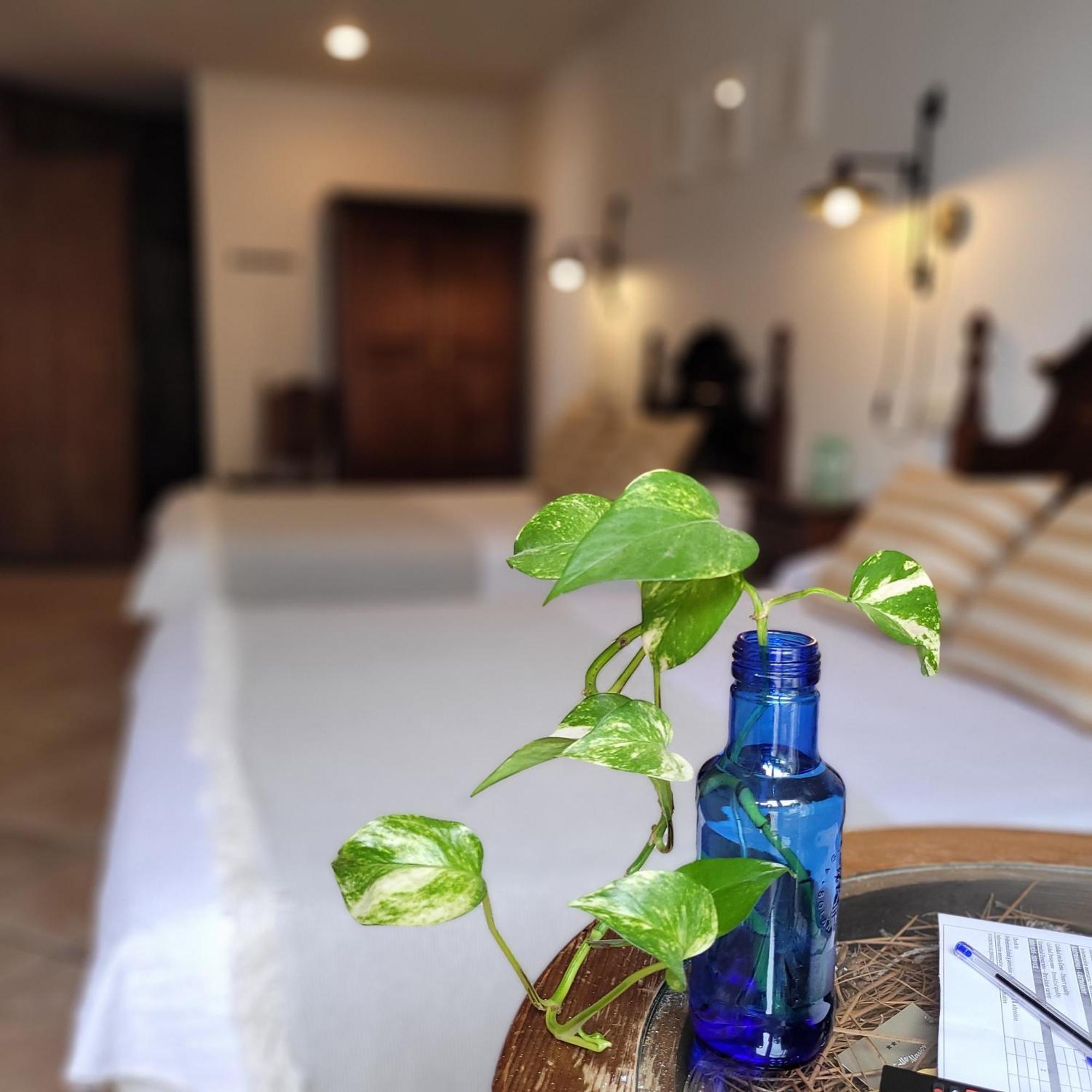 Hotel El Balcon De Las Nieves Ла-Субия Экстерьер фото